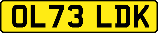 OL73LDK