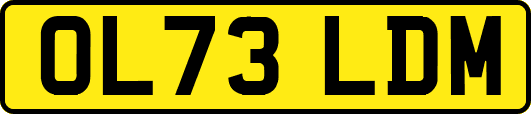 OL73LDM