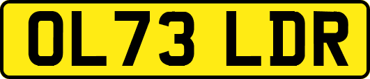 OL73LDR