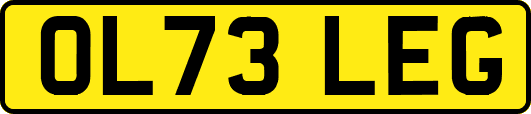 OL73LEG