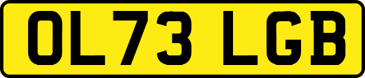 OL73LGB