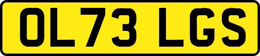 OL73LGS