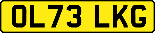 OL73LKG