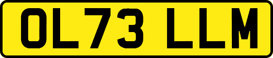 OL73LLM
