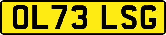 OL73LSG
