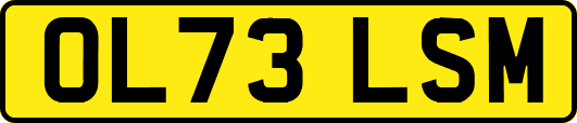 OL73LSM