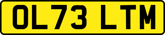 OL73LTM