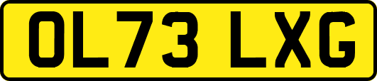 OL73LXG