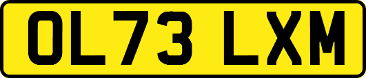 OL73LXM