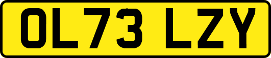 OL73LZY