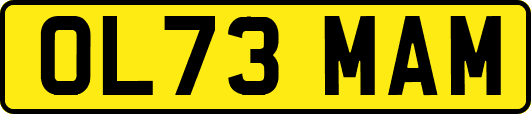 OL73MAM