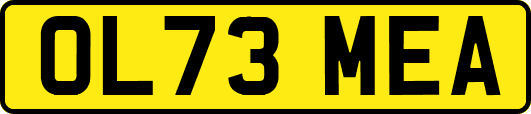 OL73MEA