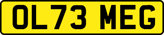 OL73MEG