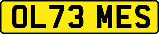 OL73MES