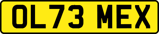 OL73MEX