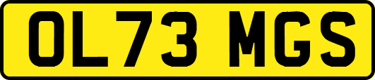 OL73MGS