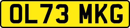OL73MKG