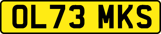 OL73MKS