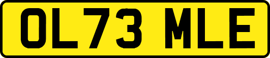 OL73MLE