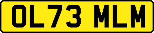 OL73MLM