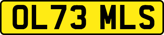 OL73MLS
