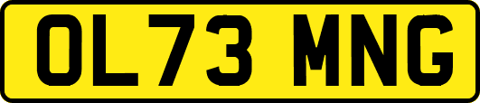 OL73MNG