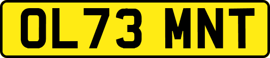 OL73MNT