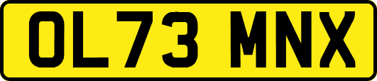 OL73MNX