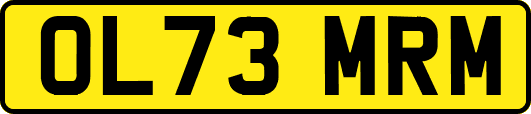 OL73MRM