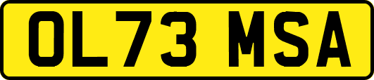 OL73MSA