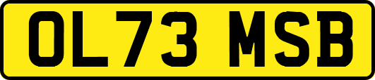 OL73MSB