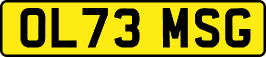 OL73MSG