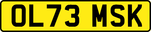 OL73MSK