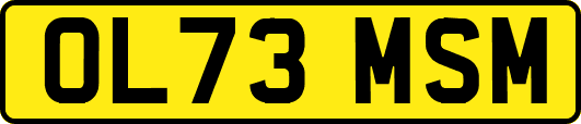 OL73MSM