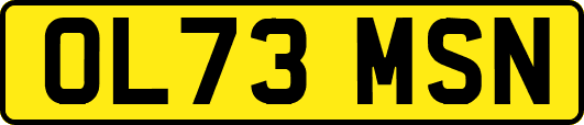 OL73MSN