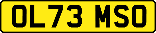 OL73MSO