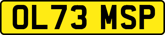 OL73MSP