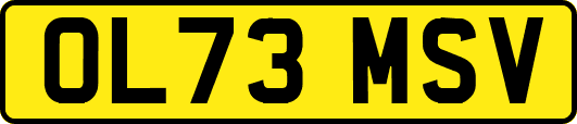 OL73MSV