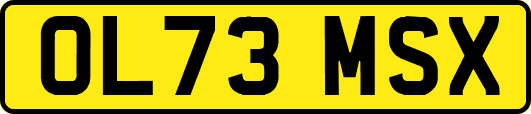 OL73MSX