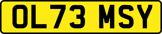 OL73MSY