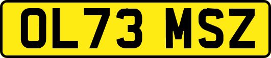 OL73MSZ