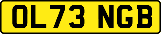 OL73NGB