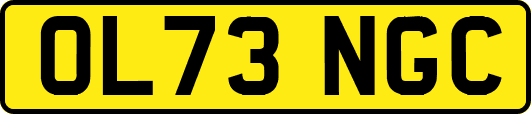 OL73NGC