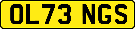 OL73NGS