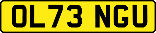 OL73NGU