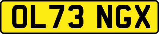 OL73NGX