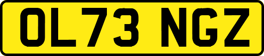 OL73NGZ
