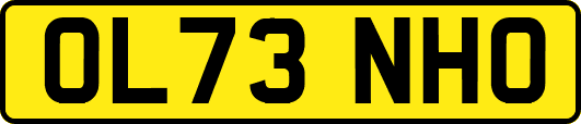 OL73NHO