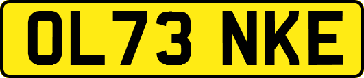 OL73NKE