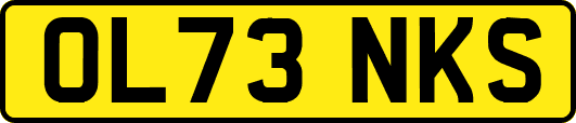 OL73NKS